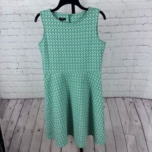 Talbots Green and White Sunglasses Print Dress Size Medium Petite
